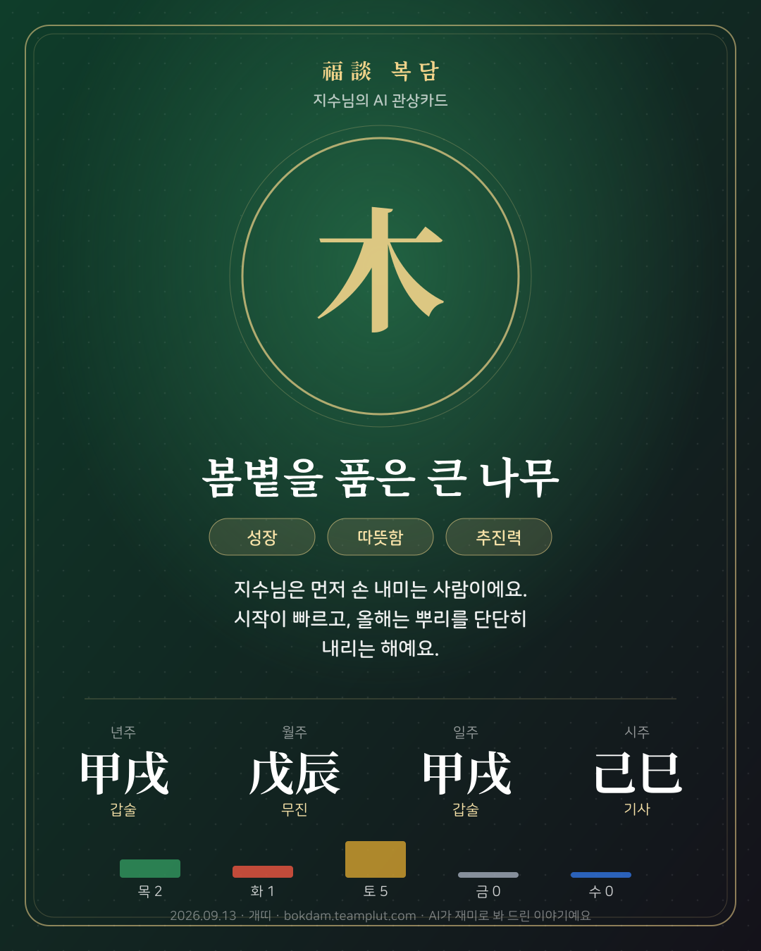 복담 관상카드 예시
